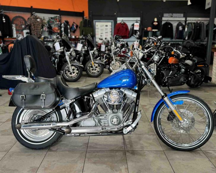 Harley-Davidson SOFTAIL STANDARD 